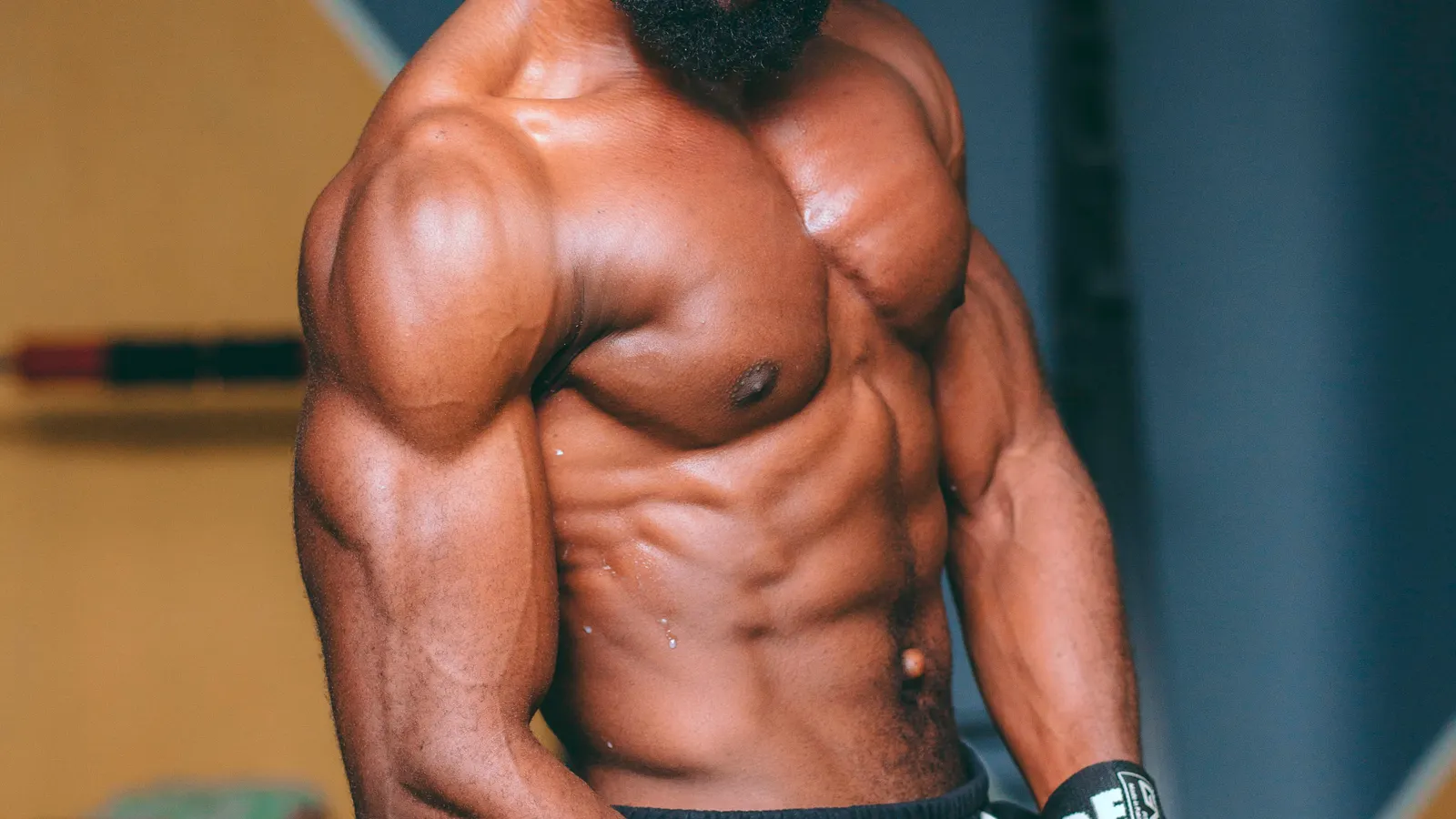 Person doing a seated bicep curl