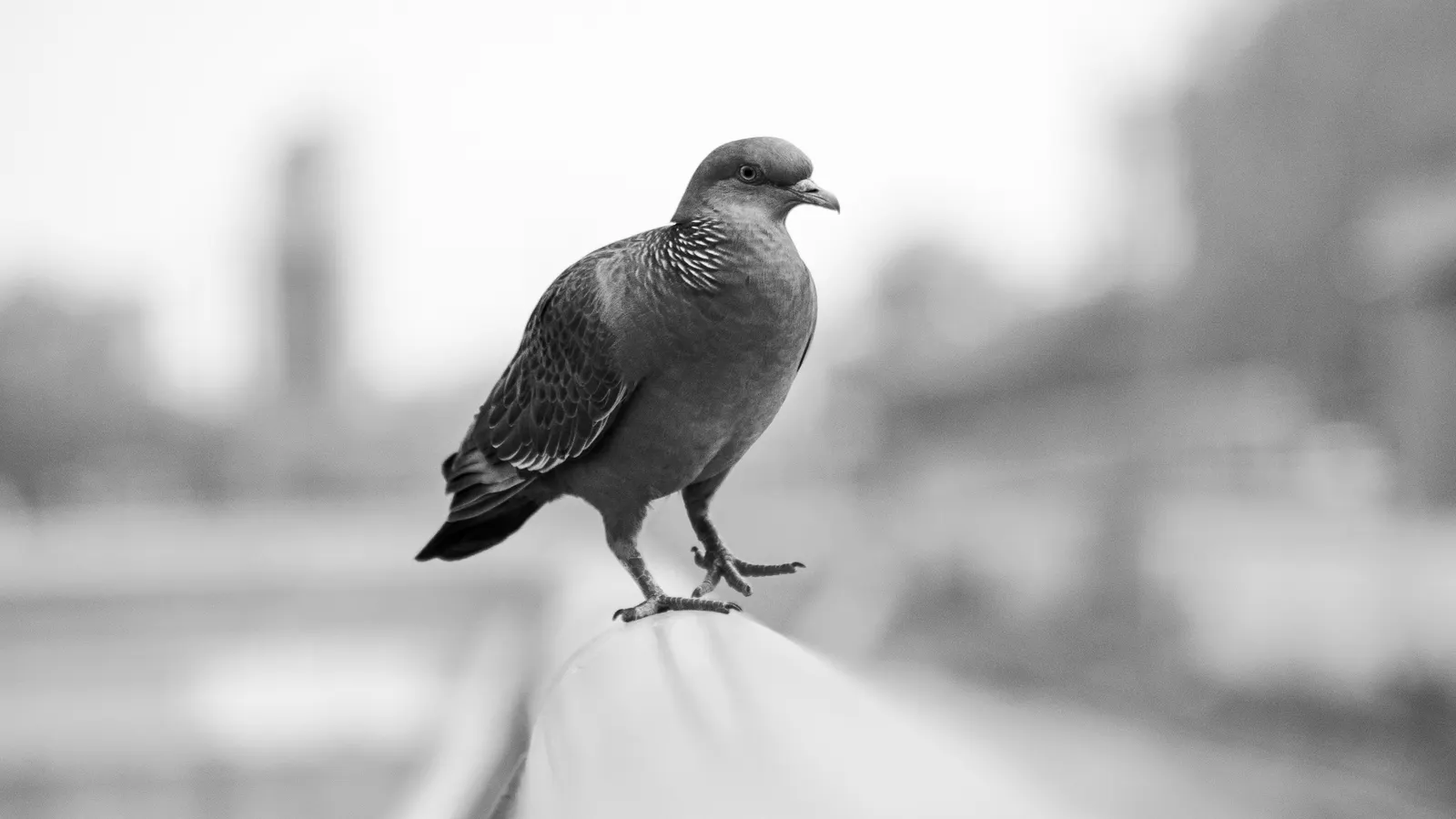 Person doing a pigeon stretch