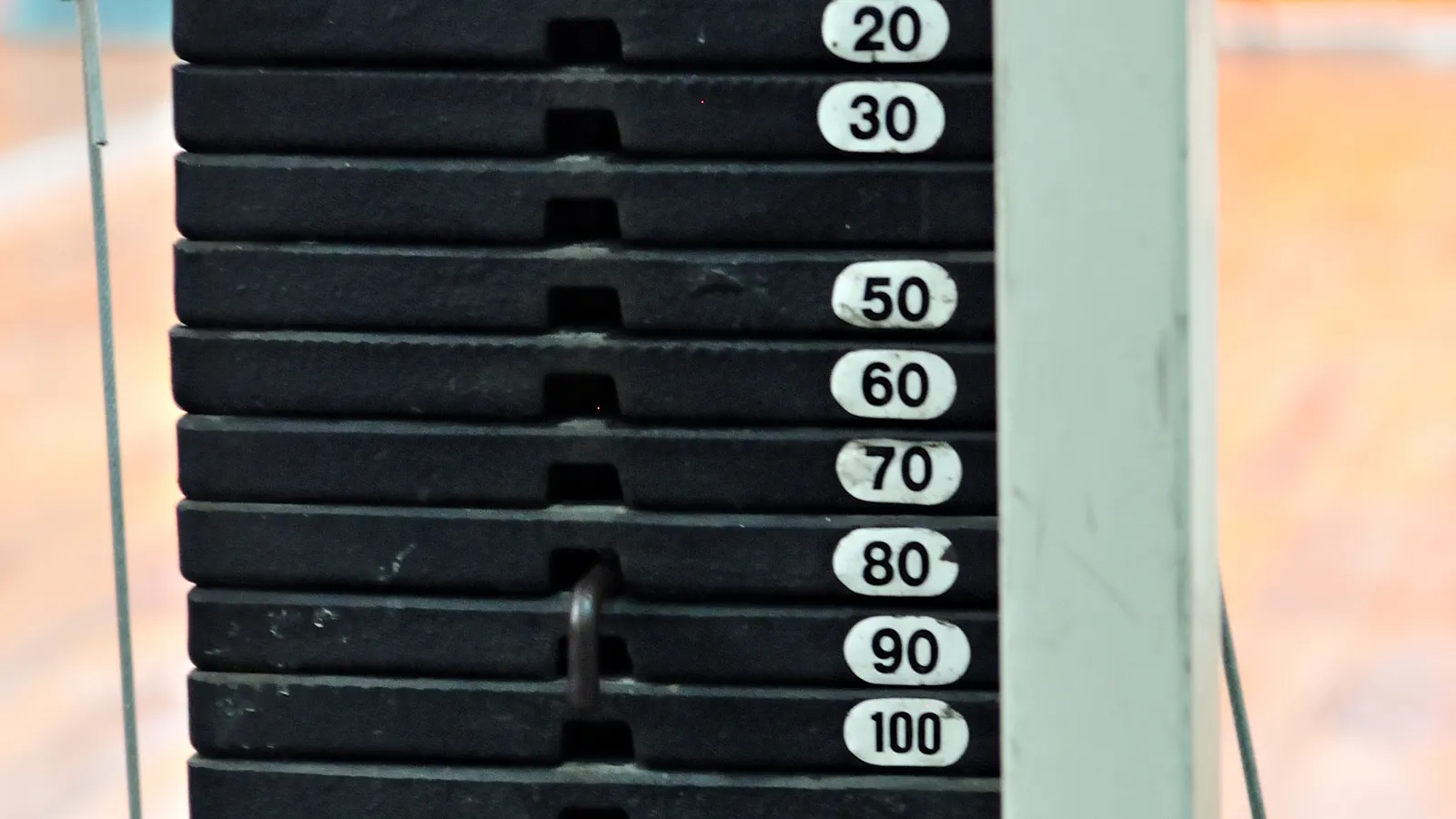 Gym equipment corner for a dumbbell strength workout